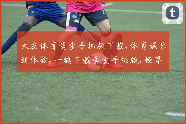 大发体育黄金手机版下载,体育娱乐新体验,一键下载黄金手机版,畅享刺激